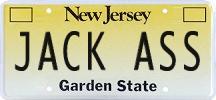 NJPlate.jpg (6124 bytes)